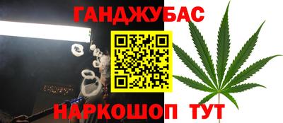 стафф Можга
