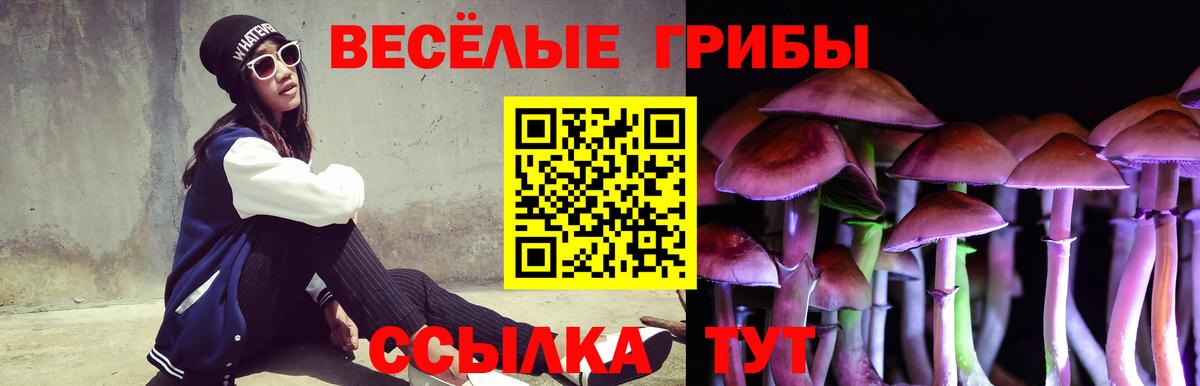 Артёмовский  купить   Вход с VPN  Псилоцибиновые грибы мицелий 